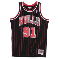 Chicago Bulls Dennis Rodman Swingman Jersey Black Red